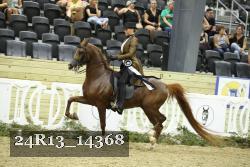 24R13_14368 thumbnail