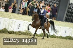 24R13_14369 thumbnail