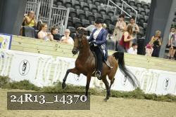 24R13_14370 thumbnail