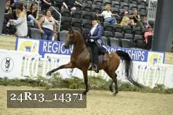24R13_14371 thumbnail