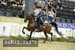 24R13_14372 thumbnail