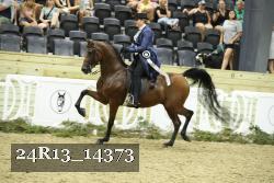 24R13_14373 thumbnail