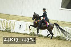 24R13_14374 thumbnail