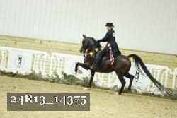 24R13_14375 thumbnail