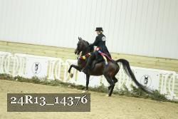 24R13_14376 thumbnail