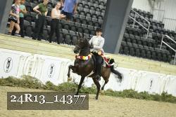 24R13_14377 thumbnail