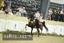 24R13_14378 thumbnail
