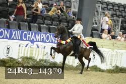 24R13_14379 thumbnail