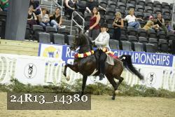 24R13_14380 thumbnail