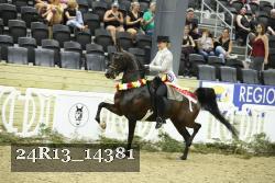24R13_14381 thumbnail