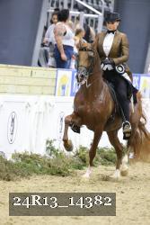 24R13_14382 thumbnail