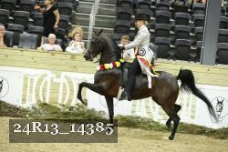 24R13_14385 thumbnail