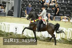 24R13_14386 thumbnail