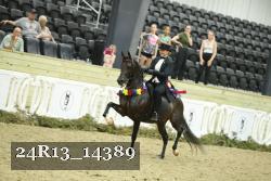 24R13_14389 thumbnail