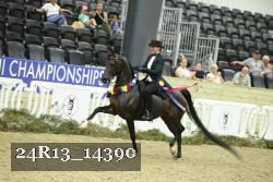 24R13_14390 thumbnail