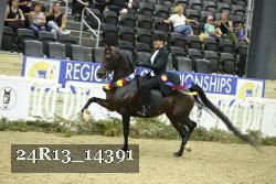 24R13_14391 thumbnail