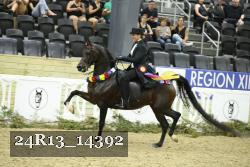 24R13_14392 thumbnail