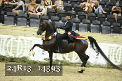 24R13_14393 thumbnail