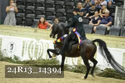 24R13_14394 thumbnail