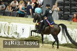 24R13_14395 thumbnail