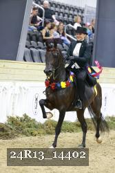 24R13_14402 thumbnail