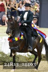 24R13_14403 thumbnail