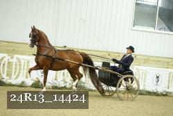 24R13_14424 thumbnail