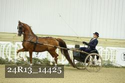 24R13_14425 thumbnail