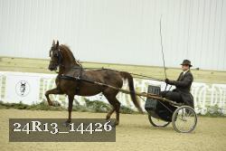 24R13_14426 thumbnail