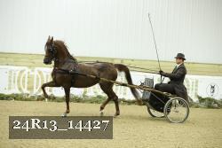 24R13_14427 thumbnail