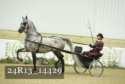 24R13_14429 thumbnail