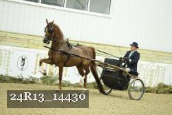 24R13_14430 thumbnail