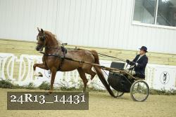 24R13_14431 thumbnail