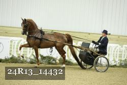 24R13_14432 thumbnail