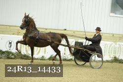 24R13_14433 thumbnail