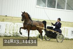 24R13_14434 thumbnail