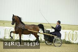 24R13_14436 thumbnail