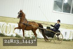 24R13_14437 thumbnail