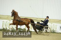 24R13_14438 thumbnail