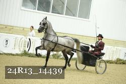 24R13_14439 thumbnail