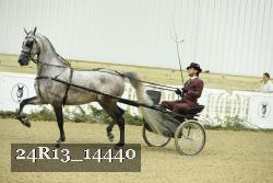 24R13_14440 thumbnail