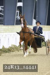 24R13_14441 thumbnail
