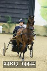 24R13_14442 thumbnail