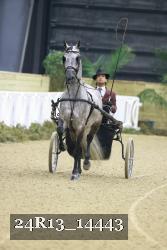 24R13_14443 thumbnail