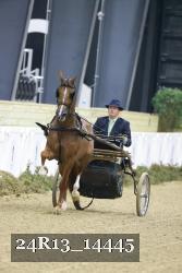 24R13_14445 thumbnail