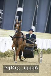 24R13_14446 thumbnail