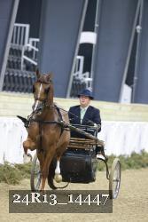 24R13_14447 thumbnail