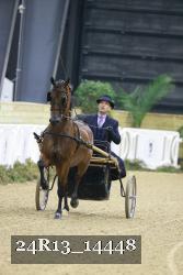 24R13_14448 thumbnail