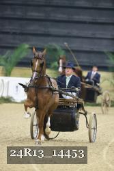 24R13_14453 thumbnail