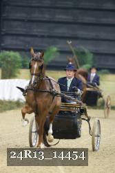 24R13_14454 thumbnail